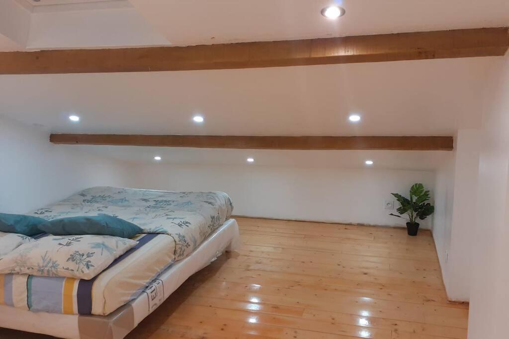 Appartement La Joie Dans Quartier Chic Pibrac Exteriör bild
