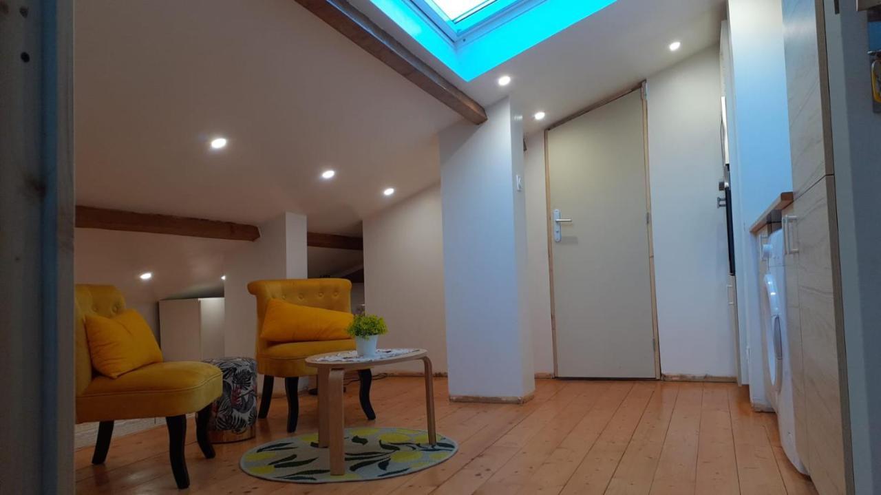 Appartement La Joie Dans Quartier Chic Pibrac Exteriör bild